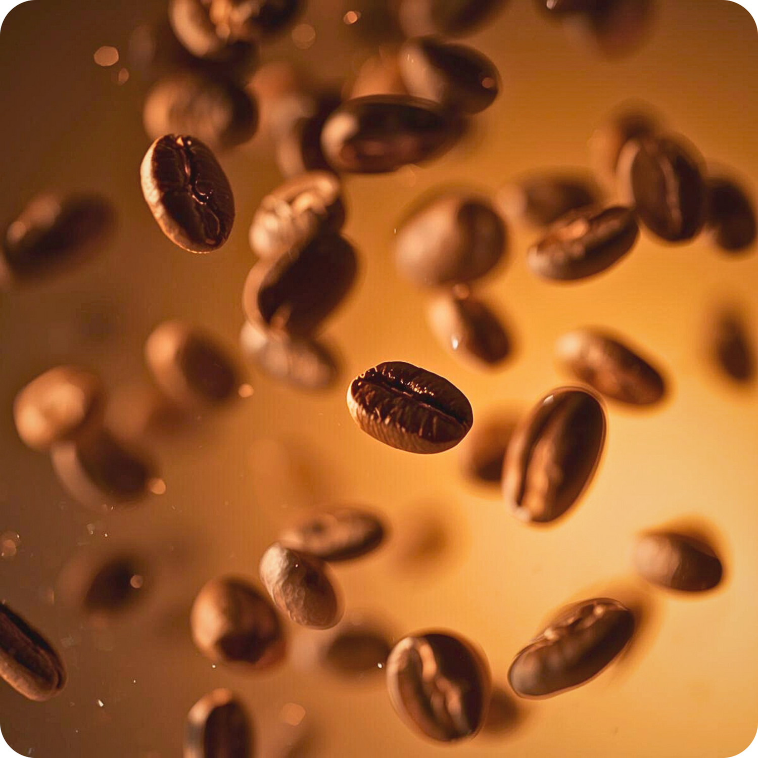 El mejor café seleccionado de SipToGo para ti.